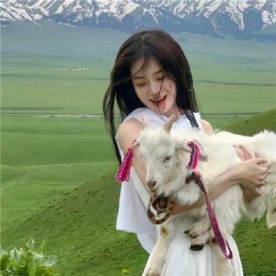 禁止入内的鼹鼠 在线观看
